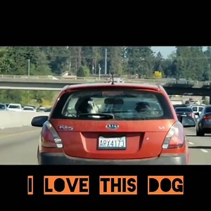 1.8K views · 30 reactions | Funny Videos on Reels | Facebook