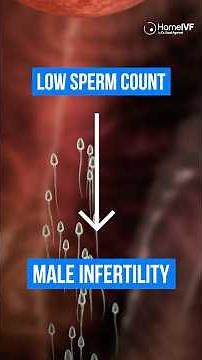 Low Sperm Count? Here’s What You Need to Know