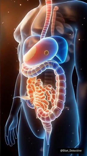 Human Digestive Tract | 3D human anatomy | physiology | #diet #health #doctor #education #reels