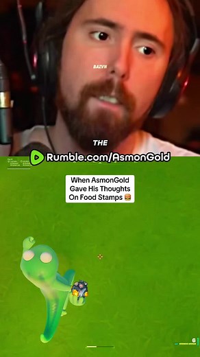 Is AsmonGold Speaking Facts About Food Stamps? #asmongold | food stamp