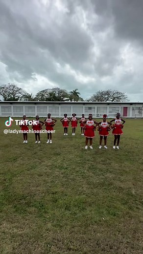 Cheerleading Dance Performance for 2025 Celebrations