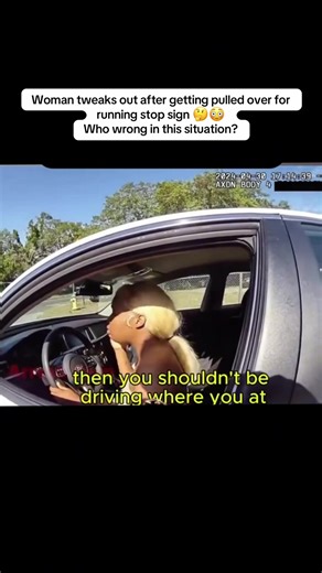 Driver Reacts Unexpectedly After Stop Sign Violation