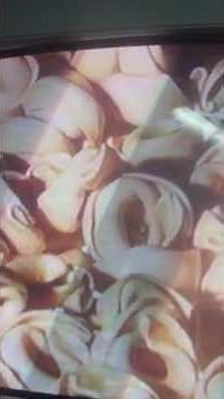 Pasta Sesame Street let's eat funny food songs spaghetti