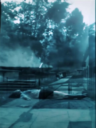 SCXR SOUL - NEON: Aesthetic Journey