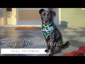 How to Make an Easy Pet Bandana: BEGINNER FRIEDNLY