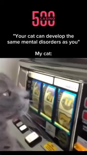 skill based gambling on Instagram: "日本利用压电瓷砖将脚步转化为电能。这些瓷砖捕捉来自你脚步的动能。当你行走时，你的重量和动作会对瓷砖产生压力。瓷砖会轻微弯曲，从而产生机械应力。瓷砖内部的压电材料将这种应力转化为电能。每一步都会产生少量电荷，而数百万步结合在一起就能产生足够的电力来驱动LED 灯、数字显示屏和传感器。在像涩谷车站这样繁忙的地方每天大约有 240万个脚步日本利用压电瓷砖将脚步转化为电能。这些瓷砖捕捉来自你脚步的动能。当你行走时，你的重量和动作会对瓷砖产生压力。瓷砖会轻微弯曲，从而产生机械应力。瓷砖内部的压电材料将这种应力转化为电能。每一步都会产生少量电荷，而数百万步结合在一起就能产生足够的电力来驱动 LED 灯、数字显示屏和传感器。在像涩谷车站这样繁忙的地方，每天大约有 240万个脚步为这一系统作出贡献。这些电能可以被储存或立即使用，从而减少对传统电力来源的依赖，并支持可持续的城市基础设施。 这种方法将日常运动转化为实用的可再生能源 ＃日本 #知识#事实 #你知道吗 #推荐 #科技 创新历史技术实验热门* 日本利用压电瓷砖将脚步转化为电