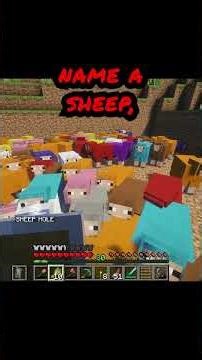 DAY 5 #viral #mrbeastchallenge #gooberbay #challenge #sheepperfollower #minecraft