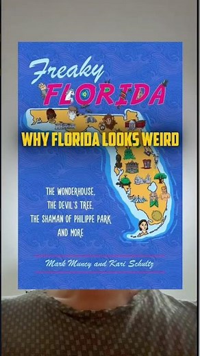 Why Florida looks Weird #usa #usamap