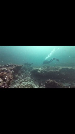 Day 1, dive 1 at Aliwal Shoal 🤿🌊 First bubbles of the trip and plenty more. #scubadiving #padi