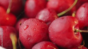Cherries macro in shop, Cherry background. Fruit background. Wet cherry with leaves and drops.