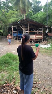 321K views · 10K reactions | fun run gani | Mariyas tv | Facebook