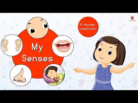 My Senses And Many More Rhymes | Rhymes And Songs Compilation For Kids | Periwinkle