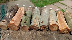 Bushcraft Fire Striker: High Speed Steel With Fatwood Handle