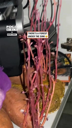 201K views · 1.1K reactions | She's got an indoor vegetable patch now 凜 | FOODbible | Facebook