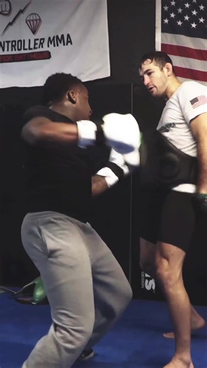 Moms Basement MMA: A Deep Dive into UFC and BJJ Insights