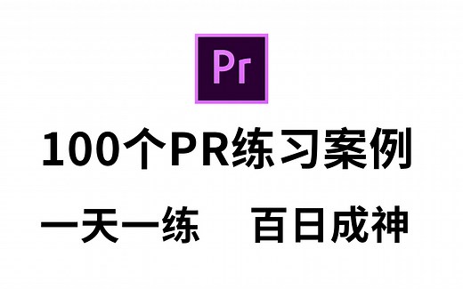 【PR教程】PR初学者入门必备100个实操案例！1天1练轻松实现接单自由！