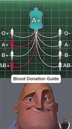 Who Can Receive Your Blood? Blood Groups Explained