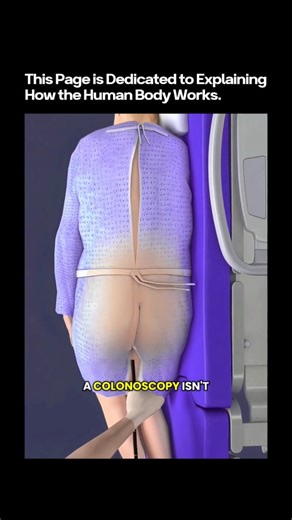 Explorlogy — How the Human Body Works on Instagram: "🩺 Colonoscopy: The Procedure Most People Fear… But That Saves Lives 😳 It sounds terrifying. It feels uncomfortable to talk about. But medically? It’s one of the most important screening procedures in modern healthcare. Here’s what actually happens: 🧪 The Prep Phase: The colon is fully cleaned to allow a clear internal view 💉 Sedation Given: Most patients are comfortably sedated 📹 Camera Inside: A flexible tube with a tiny camera examines 