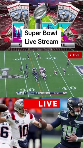 Super Bowl 2026 Live Stream and Halftime Show Highlights
