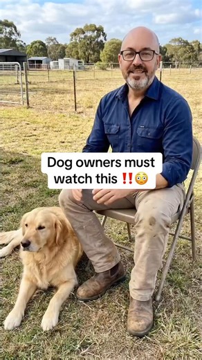 Pet Healthcare | #pethealth #doghealthtips #veterinarian #dogtips #dogsoftiktok | Instagram