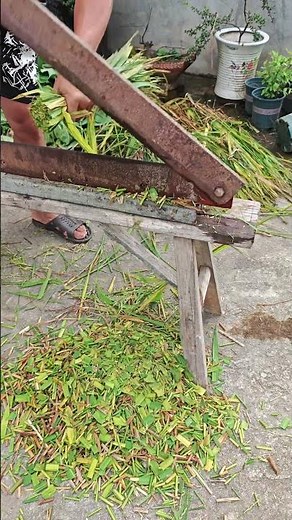 Forage cutting tips - good tools help with work