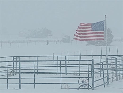 Winter weather blasts parts of New Mexico: Preliminary snow totals for November 7-8 storm