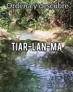 73K views · 583 reactions | Ordena y descubre | Tutoriales Audiences | Facebook