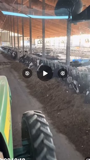 Rdf Nabha on Instagram