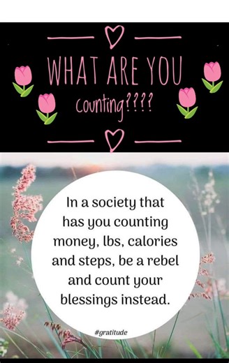 18 reactions | Joanna Rohrback on Reels | Facebook