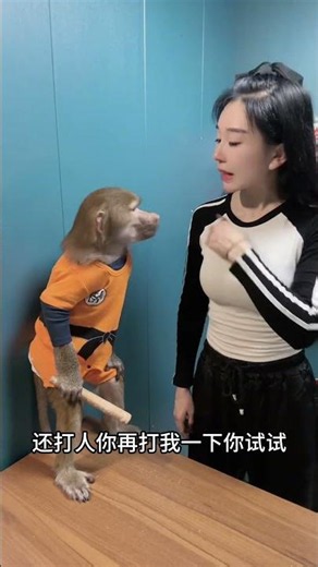 Show real skills monkey turned spirit make you laugh baboon talent monkey talent！#spirit #shorts