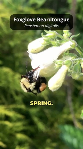 82K views · 4.8K reactions | Here's a quick story of how I grew some...