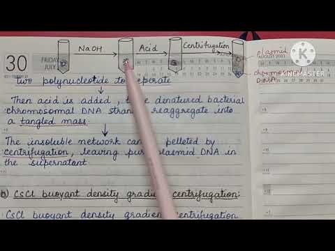 Plasmid Isolation/Plasmid Purification