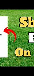 How to Share Files on Google Drive