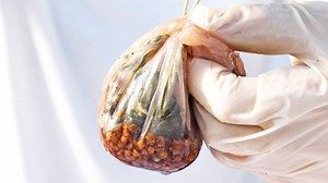 This edible food packaging is the product of bacterial fermentation