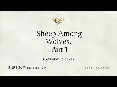 Sheep Among Wolves, Part 1 (Matthew 10:16–23) John MacArthur
