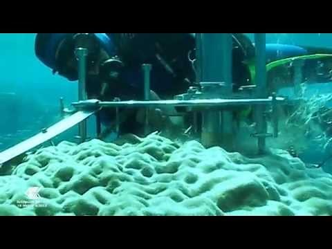 Coral Cores - windows into past climate