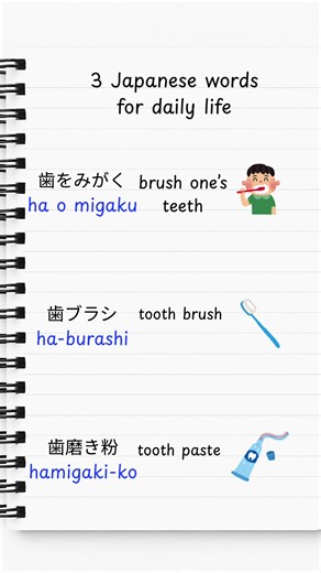 💬 3 Japanese words for daily life. ・歯をみがく ・歯ブラシ ・歯磨き粉 💾Save this and keep it for later. #learnjapanese #japaneselanguage #nihongonotes #japanstudy #n5japanese