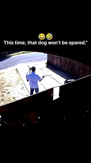 Try not to laugh 🤣🤣🤣