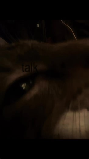 Maranda_ love_lee💕 (@maranda_rose_)’s videos with original sound - TikTok User