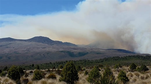 Update of Tongariro Fire - Sunday 12noon from Hwy47 | Shannon Barrett