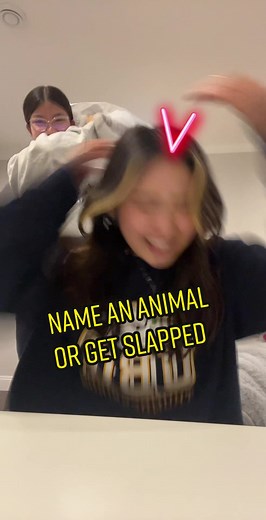 Naming Animals Alphabet Filter Pillow Slap Meme
