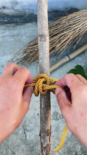 The bond that binds from the outside side #shorts