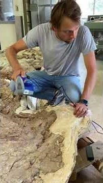 Pathways Podcast: Dr. Adam Marsh, Paleontologist