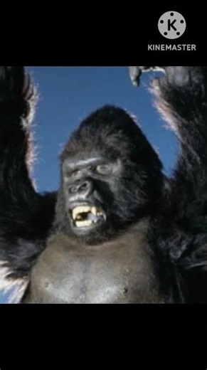 (King Kong 1976) King Kong’s Roar 🦍🔊