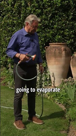 How to Properly Water Your Garden