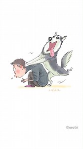 Nhờ ngáo husky massage cổ và cái kết... | Ổ Vô Tri