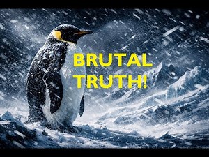 The Brutal Truth of Life in Antarctica
