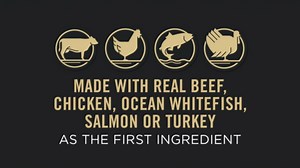 Purina Pro Plan Urinary Tract Cat Food Wet Pate, Urinary Tract Health Salmon Entree - (24) 5.5 oz. Cans