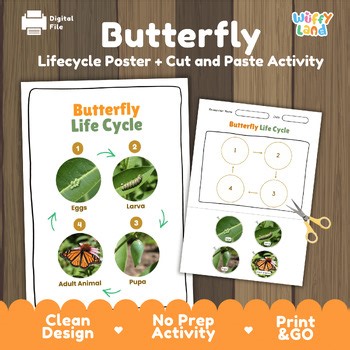 Butterfly Life Cycle Activity | Insect Metamorphosis Science Cut and Paste