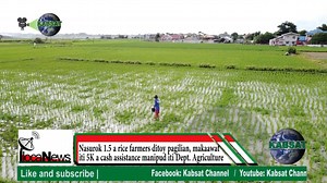 426K views · 8.9K reactions | ILOCANEWS: 1.5 million a rice farmers, makaawat iti 5K nga ayuda manipud iti Department of Agriculture kalpasan nga inruar iti DBM ti nasurok 8-B pondo para iti Notice of Cash Allocation. #KabsatChannel #ilocanews | Kabsat Channel | Facebook
